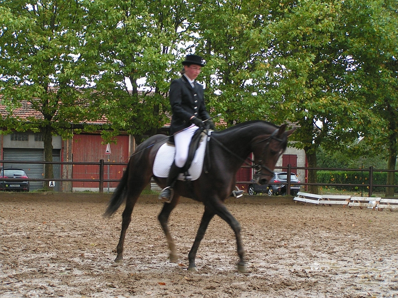 PO 2008 (4).jpg
